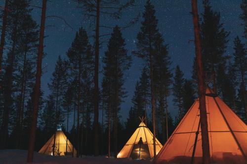 Tavelsjo Otro | Reindeer Ranch