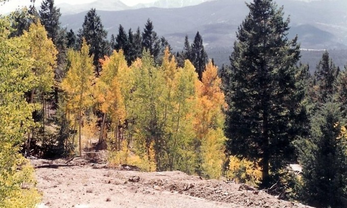 Salida Casa | Relájese y Disfrute de la grandeza de las Montañas Rocosas de Colorado !!