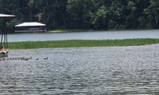 Abbeville Casa | Relax, Fish, Repeat- Your Lakefront Vacation Starts Here