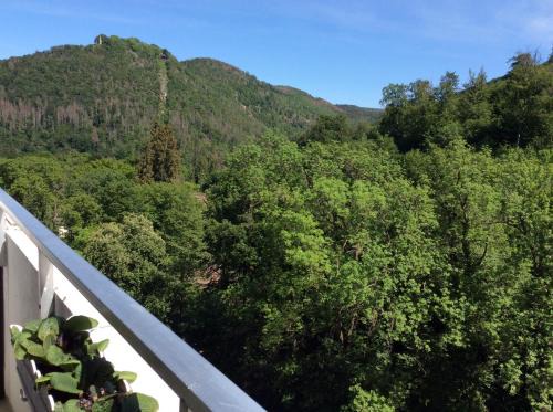 Bad Harzburg Apartamento | Relax im Wald