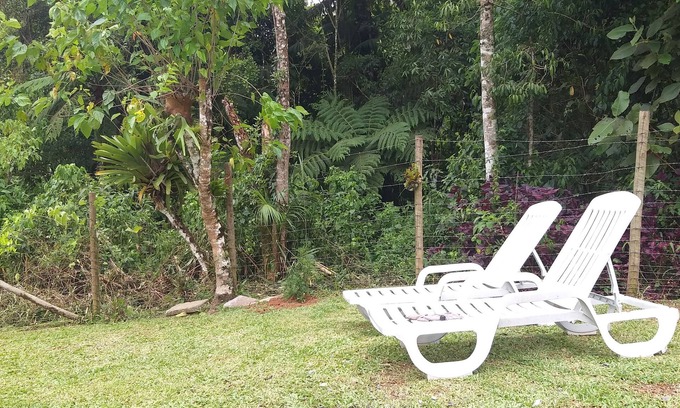 Mury Casa | Rest in the green of the Atlantic Forest.