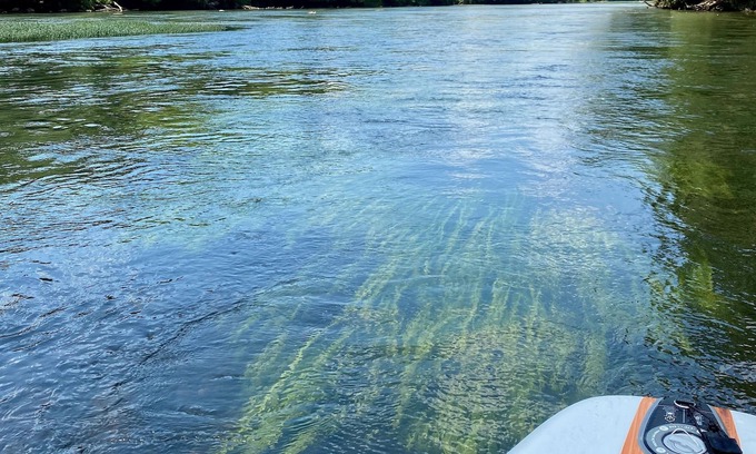 Newell Cabina | Relax on the River