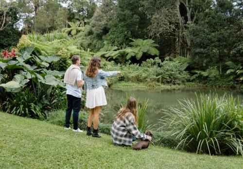 Maleny Casa | Relax Unwind This Summer at Nordic Star with Lake View