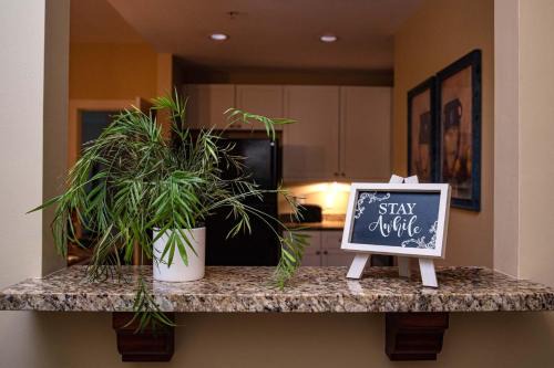 St. Augustine Casa | Relaxing 1 BR beauty w large fenced 6107-1