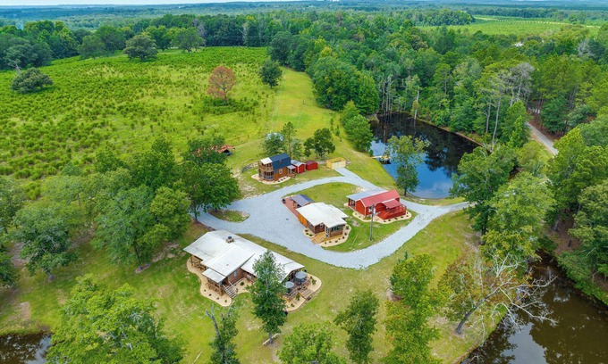 Mauk Cabina | Relaxing Buena Vista Getaway w/ Lush Lake Views