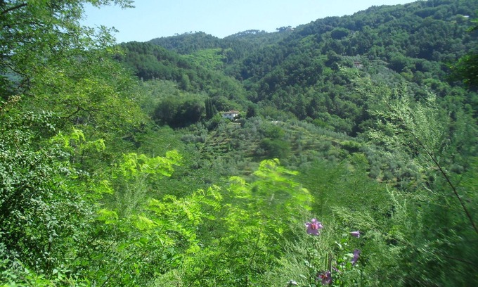 Marliana Casa | Relajante casa en el verde de la Toscana