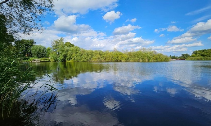 Muritz Apartamento | Relaxing vacation apartment on the Müritz with terrace, garden - for families with dogs