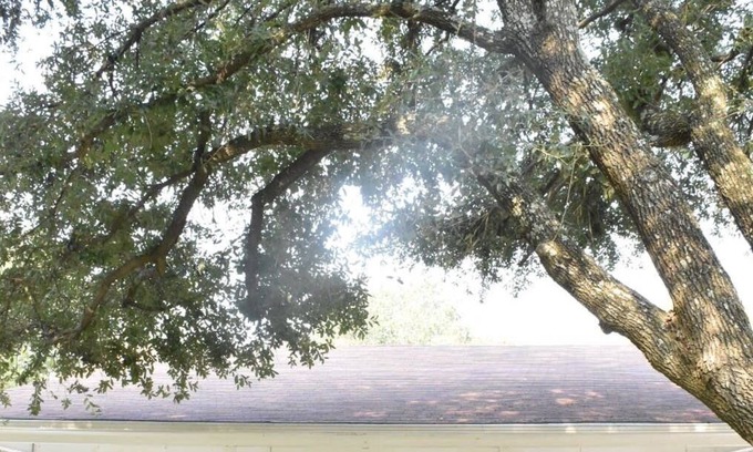 Royse City Cabaña | Remodeled 3br/2ba cottage in quiet neighborhood