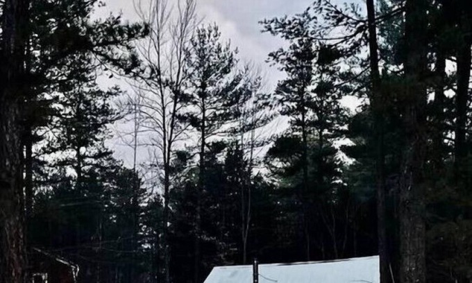 Chocorua Cabina | Remodeled Home|Minutes to White Lake|Dog-Friendly!