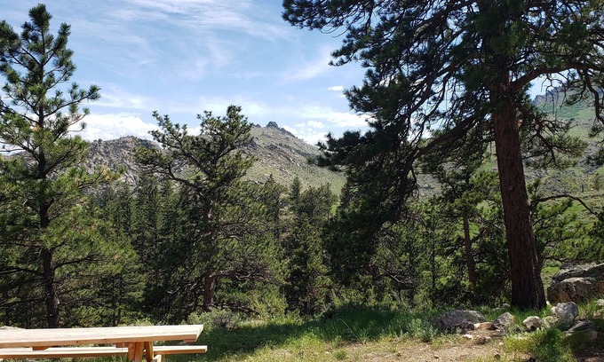 Wheatland Cabina | Remote peaceful cabin, great wildlife viewing, hunting and fishing close by