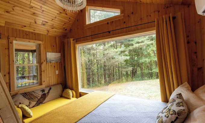 Dailey Cabina | Remote Tiny Cabin/Mountain Hiking/National Forest!