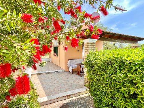 Roda Complejo | Renas Studio near Roda by DadoVillas