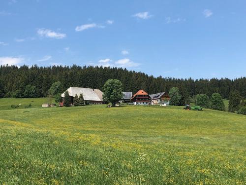 Schollach Casa | Rengethof