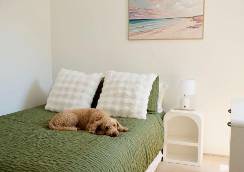 Varsity Lakes Casa | Renovated Family Retreat Pet Friendly