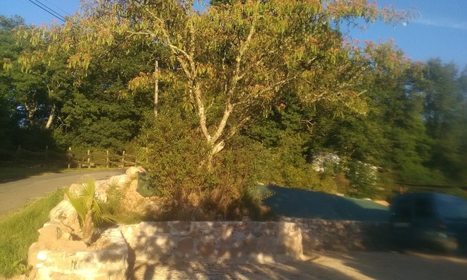 Domme Cabaña | Granja renovada en Domme Périgord Noir cerca de Sarlat