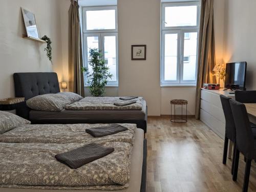 Wahring Apartamento | Renovated Studio - 10 min to Center