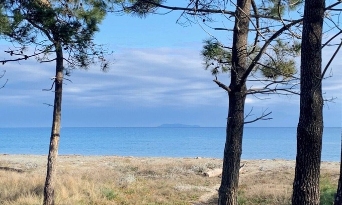 Pineto Condominio | RENTAL - all year round Plage de la Marana Borgo