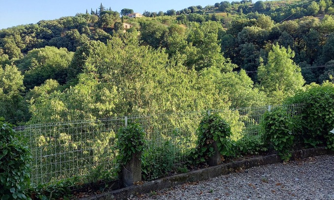 Reynes Apartamento | Rental apartment near CERET