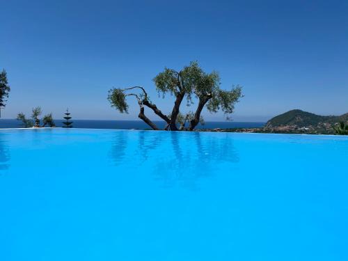 Santa Maria di Castellabate Apartamento | Residence Serrone