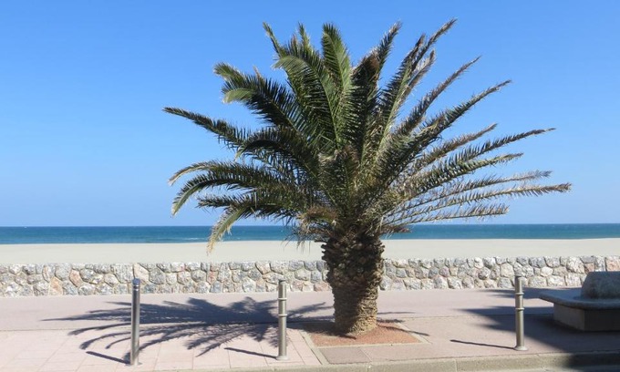 La Jetee Apartamento | RESIDENCE LE NEULOS, T2 40m2 AVEC GARAGE PRIVE, 150 m de la mer, Avenue Roussillon Canet-Plage