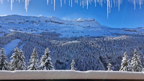 Flaine Apartamento | Residence les Pleiades