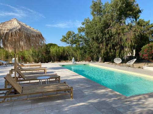 Calvi Apartamento | Residence Paolina
