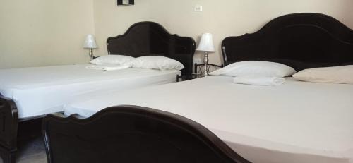 Santiago Casa | Residencial derosas