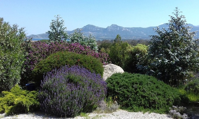 Calvi Apartamento | Piso / apartamento - CALVI
