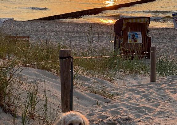 Graal Mueritz Apartamento | Residenz Lausitz - Apartments für Urlaub mit Hund