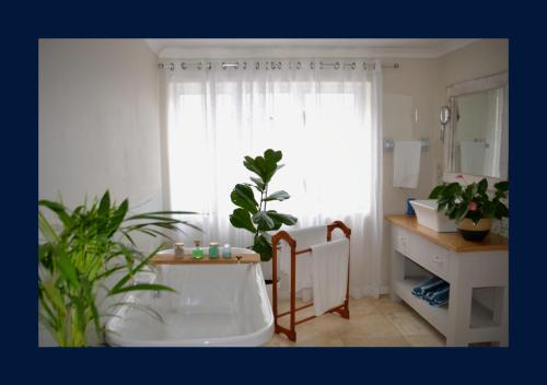 Franskraal Apartamento | Rest and Sea Self-catering - The perfect family or couples getaway to relax and refresh