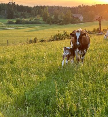 Orsundsbro Casa | Resta farm bondgårdshotell