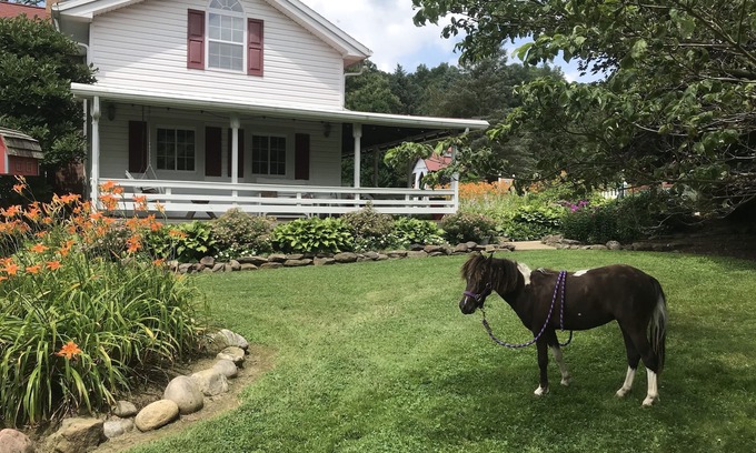 Perrysville Otro | Restaurada históricos de Granja con estanque y los animales del campo En mohicano State Park