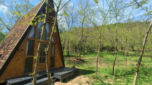 Buchin Complejo | Retreat în padure