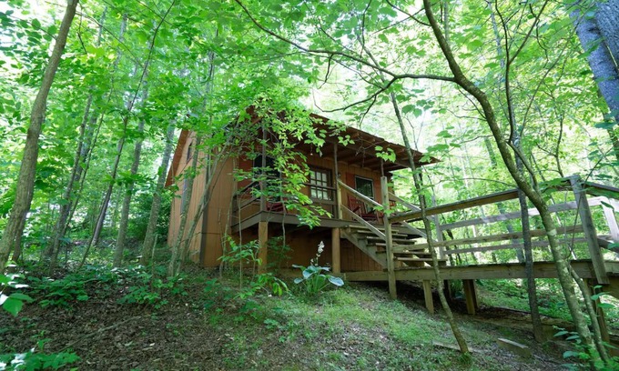 Blairsville Cabina | Retreat to Pet-Friendly Cabin near Helen, Blue Ridge & Appalachian Trail!