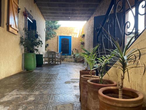 Sidi Bibi Apartamento | Riad Targante Takate 1