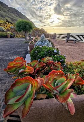 Barlovento Casa | Riegos de Lino