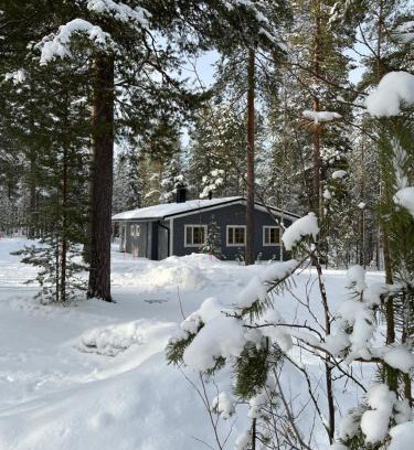 Pyhatunturi Chalet De Esquí | Riekonsoppi, two bedroom private cabin