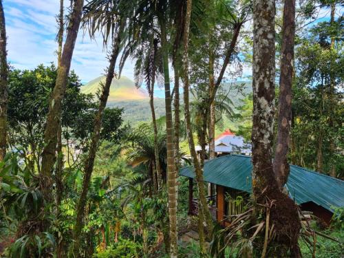 Tomohon Cabina | Rimba eco Resort