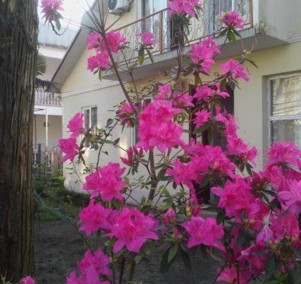 Kobuleti Casa | Rimma's Place