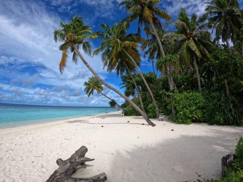 Omadhoo Casa | Rin'dha Retreats