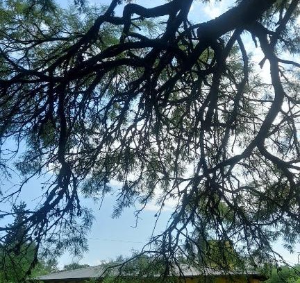 Departamento Calamuchita Casa | Rincón del Algarrobo - Casa de Campo