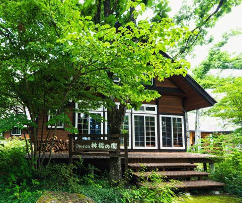 Hakuba Cabina | Ringo Lodge Hakuba