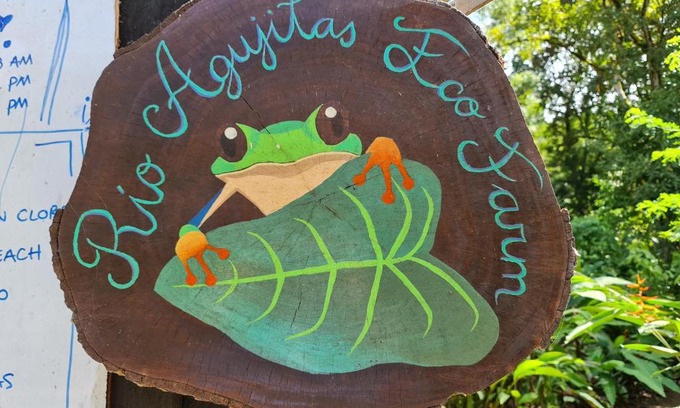 Bahía Drake Apartamento | Rio Agujitas Eco jungle - Island and Corcovado tours