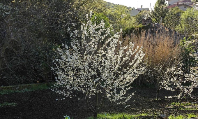 San Giovanni-Chiadino-Rozzol Cama Y Desayuno | Rio Farneto B&B