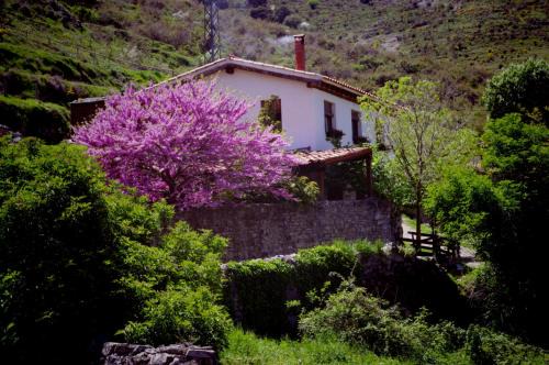 Munilla Chalet De Esquí | Riojania Traditio