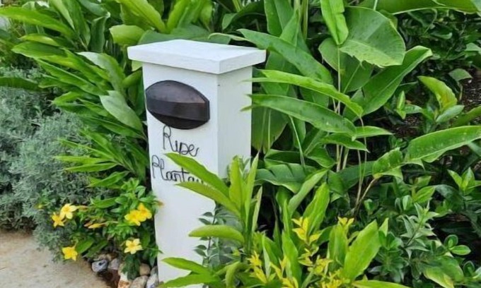 Montego Bay Cabina | Ripe Plantain Cabin
