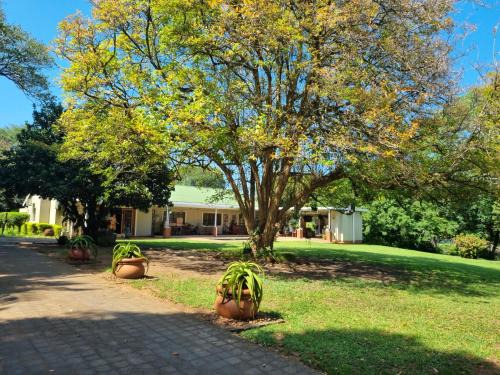 uMhlathuze Casa | Rise and Shine Felixton