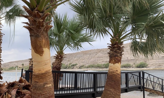 Laughlin Apartamento | Riv a holic