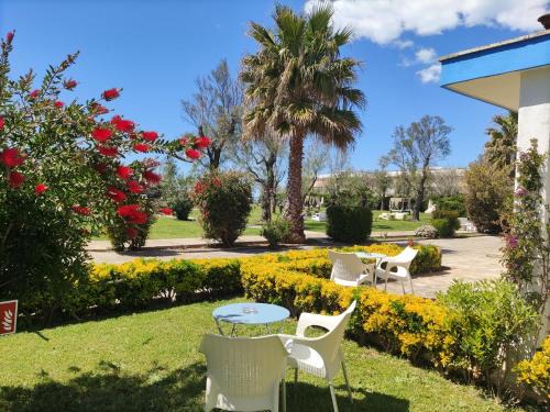 Ladispoli Complejo | Riva di Palo Beach Resort