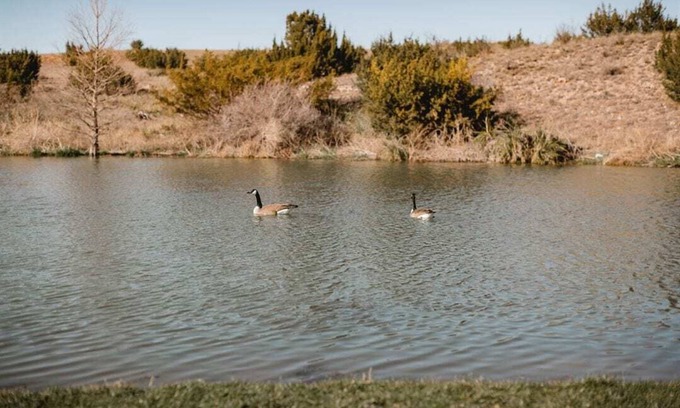 Amarillo Cabina | River Falls Venue & Lodges Lodge de un dormitorio